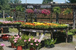 Grandview Country Store and Garden Shop